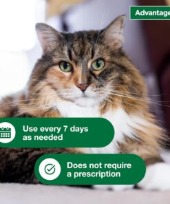 Advantage Cat Flea & Tick Shampoo for Kittens & Adult Cats | Kills Fleas & Ticks | 8 oz.
