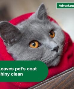 Advantage Cat Flea & Tick Shampoo for Kittens & Adult Cats | Kills Fleas & Ticks | 8 oz.