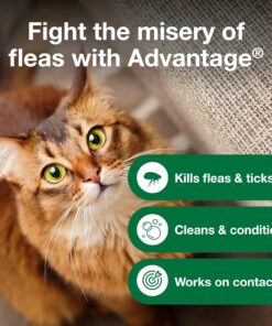 Advantage Cat Flea & Tick Shampoo for Kittens & Adult Cats | Kills Fleas & Ticks | 8 oz.