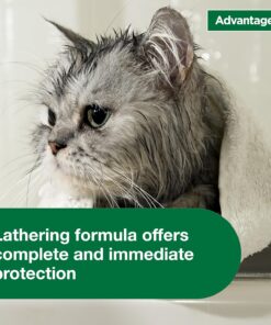 Advantage Cat Flea & Tick Shampoo for Kittens & Adult Cats | Kills Fleas & Ticks | 8 oz.