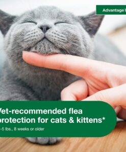 Advantage II Kitten Vet-Recommended Flea Treatment & Prevention | Cats 2-5 lbs. | 2-Month Supply