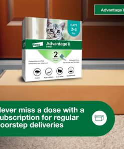 Advantage II Kitten Vet-Recommended Flea Treatment & Prevention | Cats 2-5 lbs. | 2-Month Supply