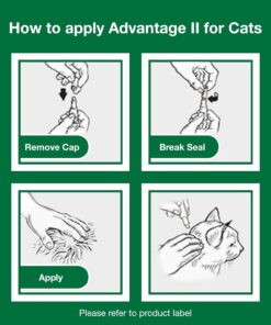 Advantage II Kitten Vet-Recommended Flea Treatment & Prevention | Cats 2-5 lbs. | 2-Month Supply