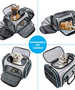 Airline Approved Pet Carrier, Large Soft Sided Pet Travel TSA Carrier 4 Sides Expandable Cat Collapsible Carriers with Removable Fleece Pad and Pockets for Cats Dogs and Small...