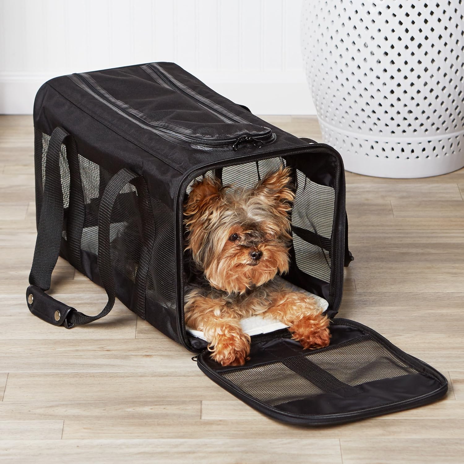 Amazon Basics Airline Approved Soft-Sided Mesh Pet Travel Carrier with Shoulder Strap, Removable Washable Fleece Pad, Top Opening, Ventilation for Dog, Cat, up to 22 pounds,...