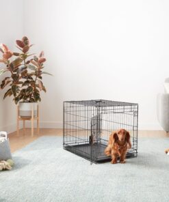 Amazon Basics Portable, Foldable Metal Wire Dog Crate with Removable Tray, Single Door, Divider Panel, Quick Setup, 30 x 19 x 21 in, Black