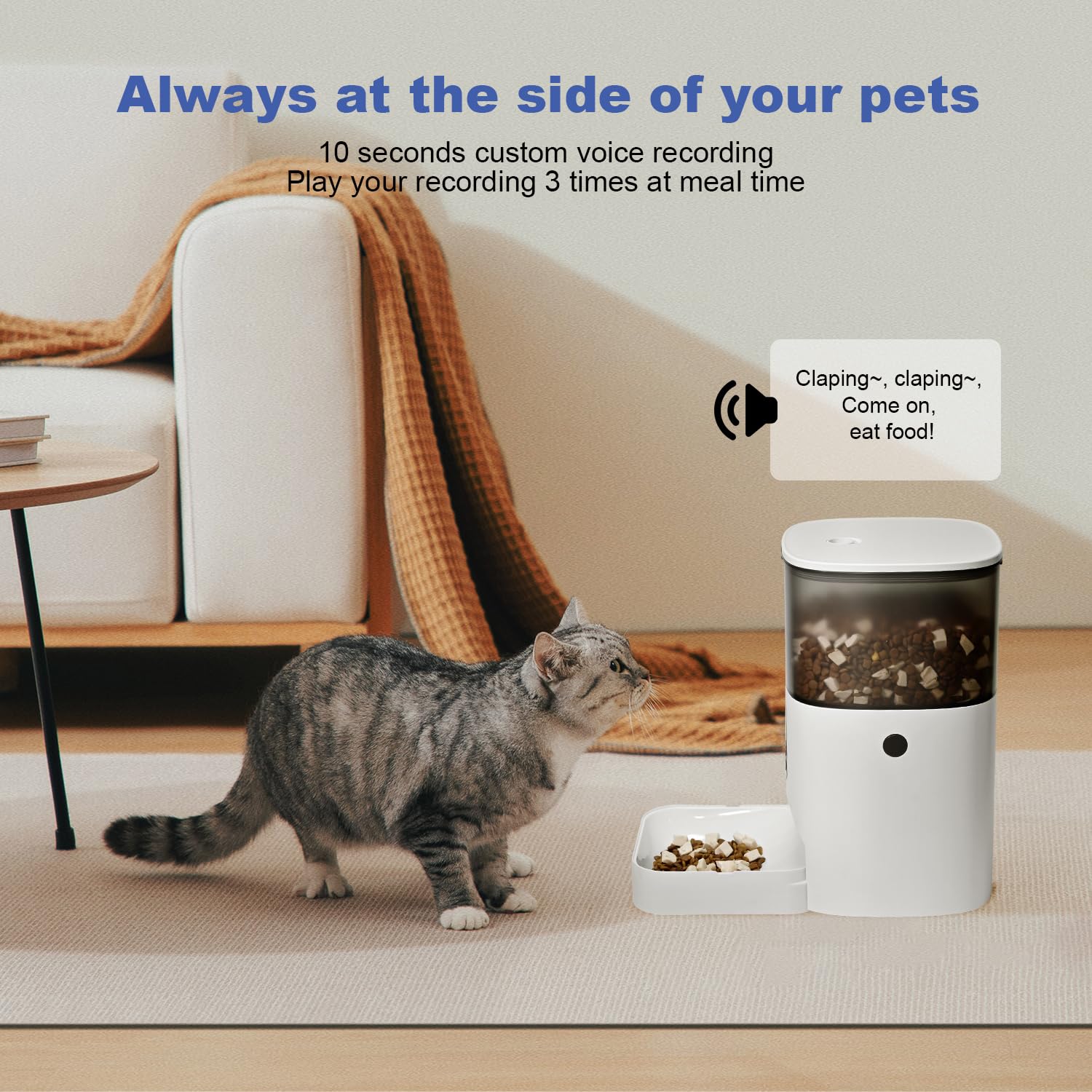 ANDOLL HOME Automatic Cat Feeder, 4L Cat Food Dispenser with 10s Voice Recorder, Pet Feeder up to 8 Meals per Day, Timed Dog Feeder with Dry Food Sealed Ring
