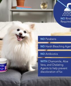 Angel's Eyes Gentle Tear Stain Wipes for Dogs and Cats - 100 Ct - Presoaked Textured (AEGTSW100)