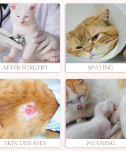 ANWA 2 Pack Cat Recovery Suit - Breathable Cat Onesie for Cats After Surgery Female, Kitten Surgery Recovery Suit Female Abdominal Wounds