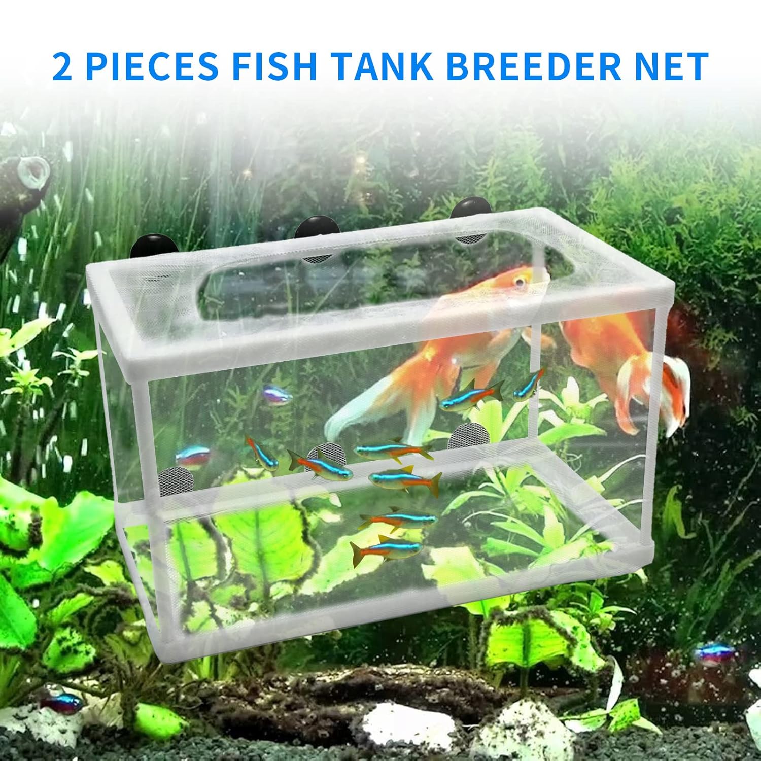 Anxingo 2 Pack Fish Tank Breeder Net,Fish Isolation Breeding Hatching Box, Plastic Frame Hatching Box Separation Net Breeding Box with Suction Cup for Aquarium