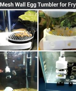 Aquarium Egg Incubator Tumbler - 50mm Fish Hatchery for Cichlids and Mouth-Brooding Species