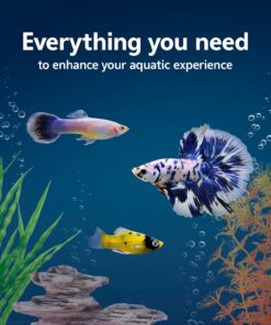 Aqueon Aquarium Starter Kit with Smart Clean Filtration and LED Lighting, Freshwater and Saltwater Fish, 20-Gallon