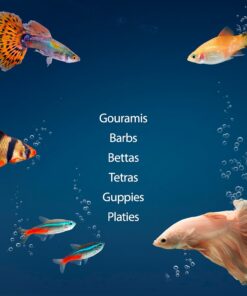 Aqueon Aquarium Starter Kit with Smart Clean Filtration and LED Lighting, Freshwater and Saltwater Fish, 20-Gallon