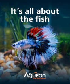 Aqueon LED MiniBow Small Aquarium Fish Tank Kit with SmartClean Technology, Black, 5 Gallon