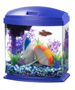 Aqueon LED MiniBow Small Aquarium Fish Tank Kit with SmartClean Technology, Black, 5 Gallon