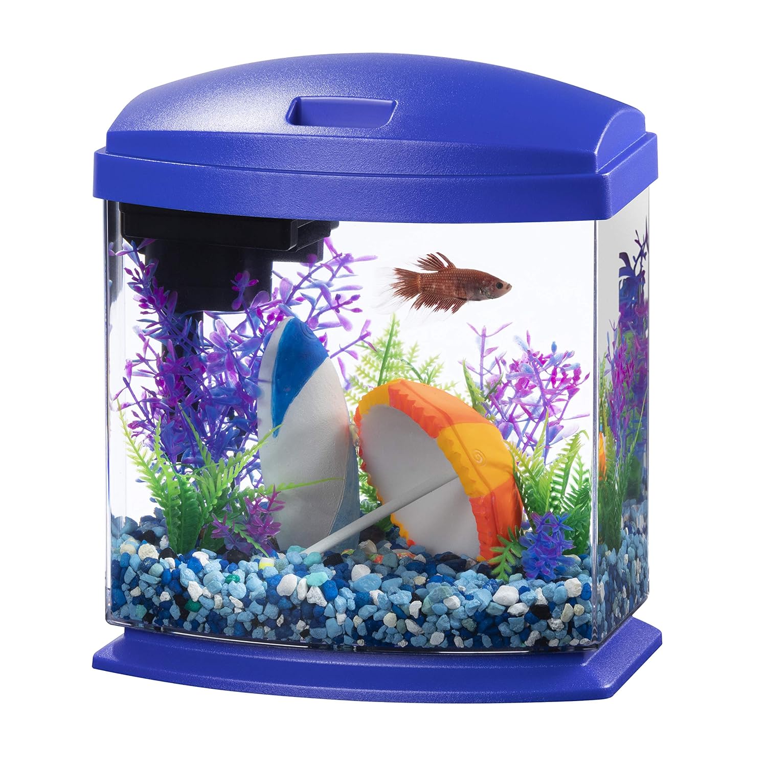 Aqueon LED MiniBow Small Aquarium Fish Tank Kit with SmartClean Technology, Black, 5 Gallon