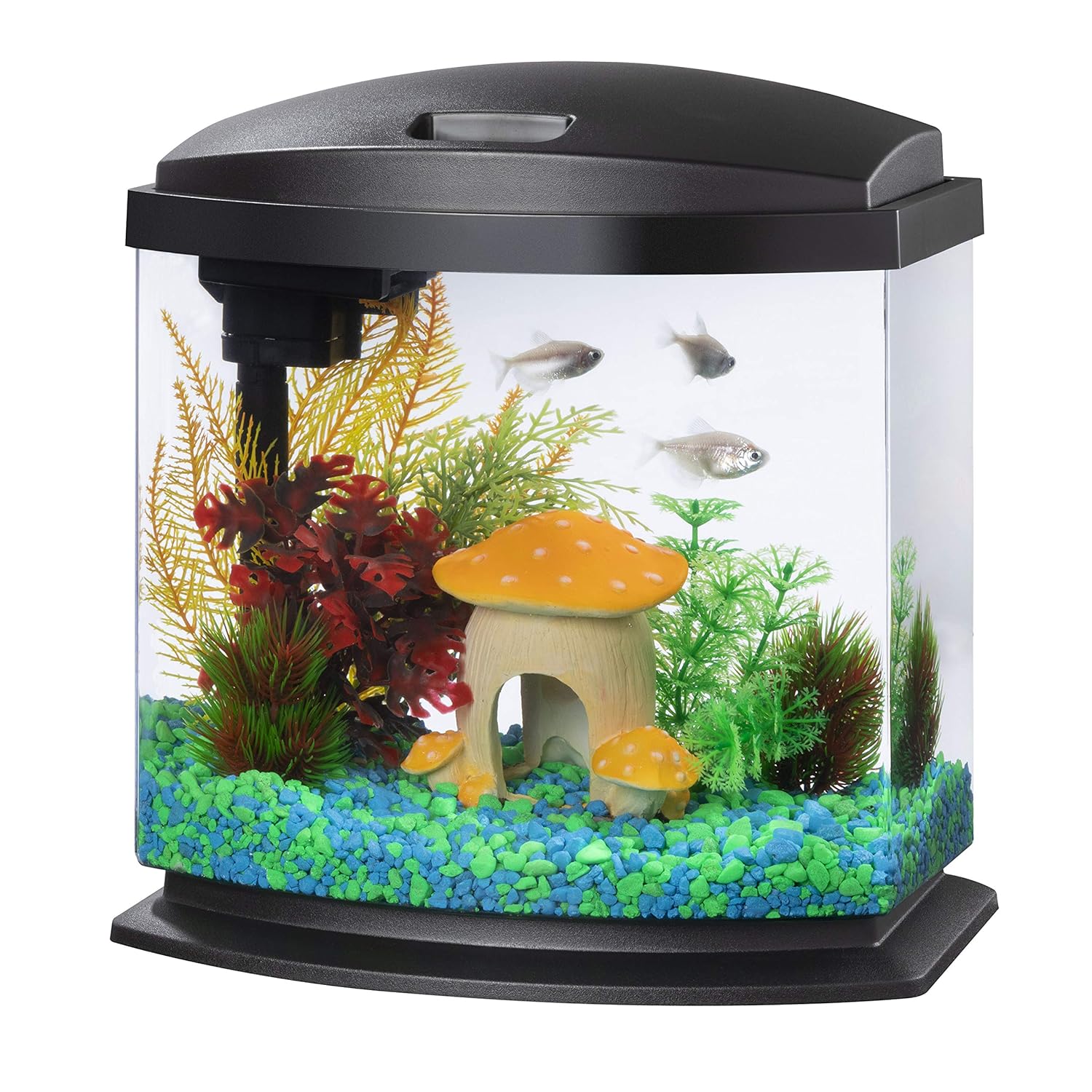 Aqueon LED MiniBow Small Aquarium Fish Tank Kit with SmartClean Technology, Black, 5 Gallon