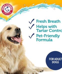 Arm & Hammer Complete Care Enzymatic Dog Toothpaste with Baking Soda and Calcium, Fluoride-Free Chicken Flavor for Plaque, Tartar, and Fresh Breath, 6.2 Oz Value Size
