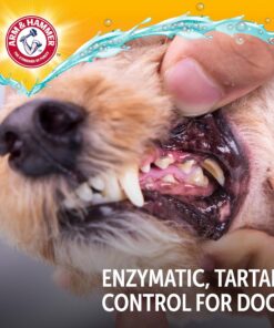 Arm & Hammer Complete Care Enzymatic Dog Toothpaste with Baking Soda and Calcium, Fluoride-Free Chicken Flavor for Plaque, Tartar, and Fresh Breath, 6.2 Oz Value Size
