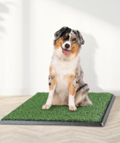 Artificial Grass Puppy Pee Pad for Dogs and Small Pets - 20x25 Reusable 4-Layer Training Potty Pad with Tray - Dog House and Pet Supplies by PETMAKER