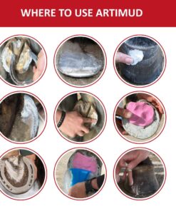 Artimud - Horse Hoof Putty Thrush Treatment 10 oz (300g) | Eucalyptus Horse Hoof Clay | Equine Frog & Sole Protection | Red Horse Products | Natural Hoof Mud | Non-caustic | All...