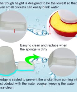 Auto Cricket Feeder & Keeper - Tube & Cup Feeding, Water Bottle & Crystals for Breeding
