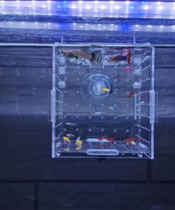 AWXZOM Acrylic Fish breeding Box, Acrylic Fish Isolation Box, Fish Separator for Aquarium, Hatchery Incubator with Suction Cups for Small Baby Fishes Shrimp Clownfish Guppy (3.9...