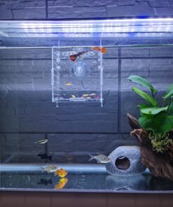 AWXZOM Acrylic Fish breeding Box, Acrylic Fish Isolation Box, Fish Separator for Aquarium, Hatchery Incubator with Suction Cups for Small Baby Fishes Shrimp Clownfish Guppy (3.9...