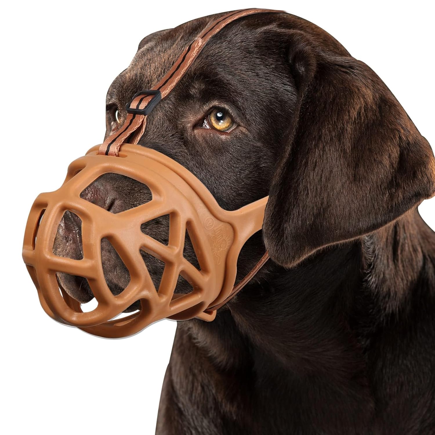 BARKLESS Dog Muzzle, Basket Muzzle for Biting, Chewing and Scavenging, Humane Cage Mouth Cover, Perfect for Grooming and Training Large Aggressive Reactive Dogs (L, Black)