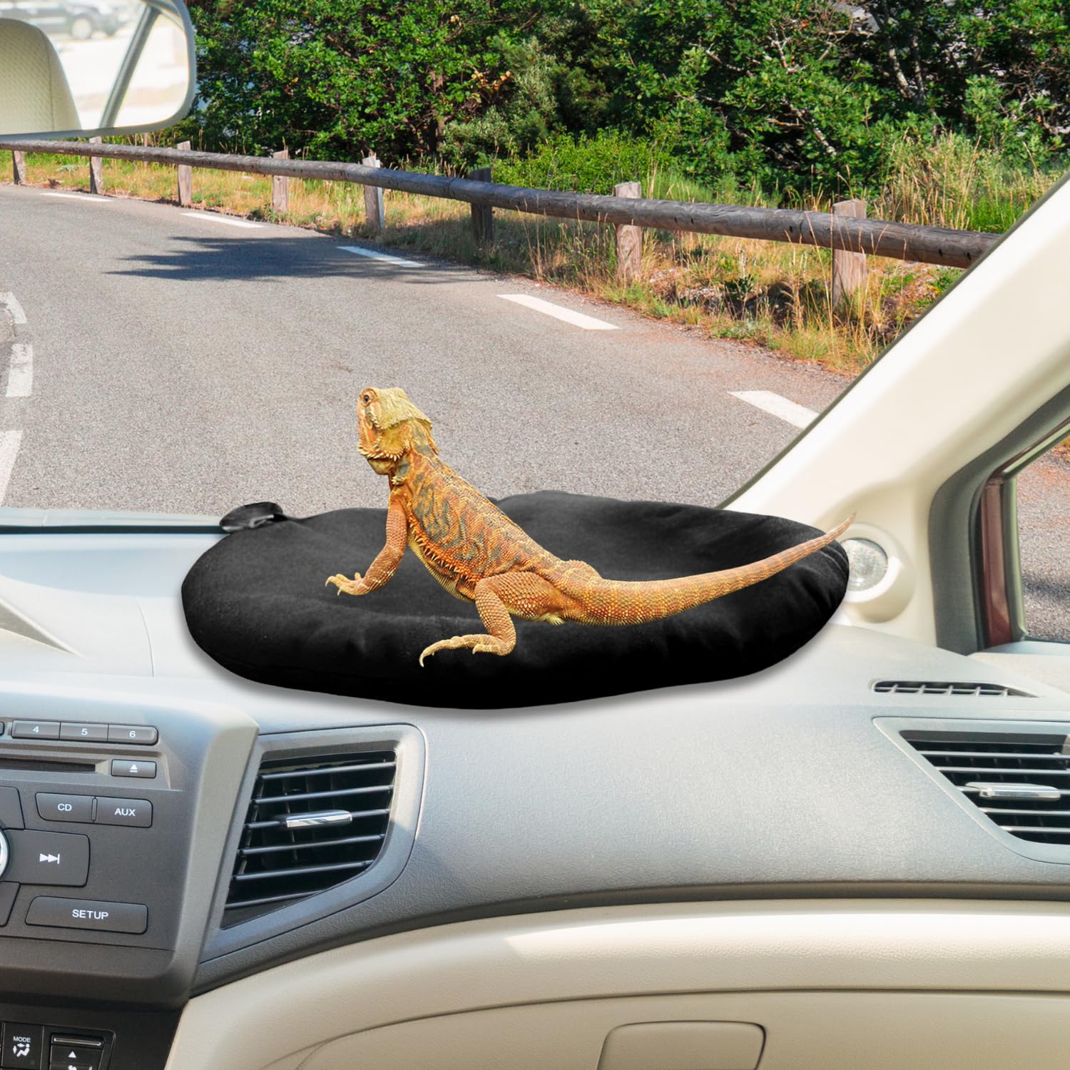 Bearded Dragon Bed Soft Mat with Suction Cup Bearded Dragon Sleep Cushion Washable for Travel Reptile Tank Accessories Small Animal Carrier for Lizard Leopard Gecko (Black)
