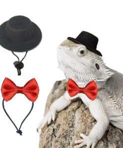 Bearded Dragon Clothes Costume Adjustable Hat and Bowtie Handmade Small Animals St. Patrick's Day Decorations Clothes for Lizard Chameleon Juvenile Iguana