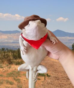 Bearded Dragon Cowboy Costume - Adjustable Lizard Cowboy Hat and Bandana Scarf Reptile Halloween Costume Photo Props for Gecko Chameleon Amphibians Ferret Hamster (Brown)
