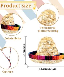 Bearded Dragon Sombrero Hats, Bearded Dragon Clothes Accessories Lizard Straw Hat with Adjustable Chin Strap Small Pet Hat Lizard Costume for Reptile Ferret Hamsterleopard Gecko...