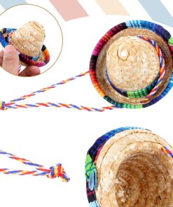 Bearded Dragon Sombrero Hats, Bearded Dragon Clothes Accessories Lizard Straw Hat with Adjustable Chin Strap Small Pet Hat Lizard Costume for Reptile Ferret Hamsterleopard Gecko...