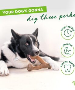 Benebone Wishbone Durable Dog Chew Toy for Aggressive Chewers, Real Bacon, Made in USA, Medium