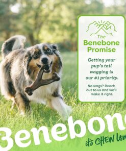 Benebone Wishbone Durable Dog Chew Toy for Aggressive Chewers, Real Bacon, Made in USA, Medium