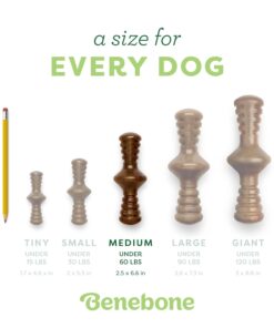 Benebone Zaggler Rolling Dog Chew Toy for Aggressive Chewers, Real Bacon, Made in USA, Medium