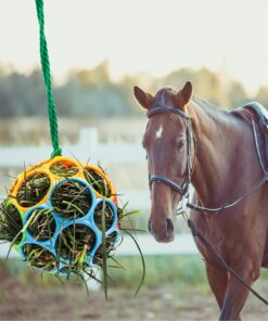 Besimple 2 Pack Horse Treat Ball Hay Feeder Toy, Goat Feeder Ball Hanging Feeding Toy for Horse Goat Sheep Relieve Stress (Colorful)
