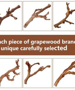 BNOSDM 2PCS Reptile Wood Branches Decor,Lizard Habitat Natural Wood Decoration,Snake Climbing Branch Accessories,Terrarium Tree Trunk Ornament for Bearded Dragon Gecko Frog...