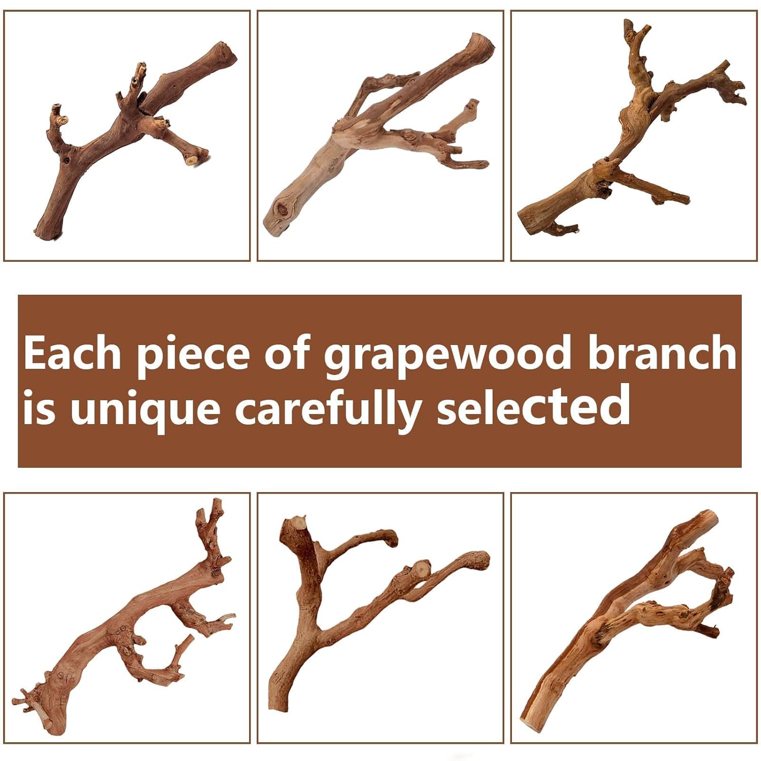 BNOSDM 2PCS Reptile Wood Branches Decor,Lizard Habitat Natural Wood Decoration,Snake Climbing Branch Accessories,Terrarium Tree Trunk Ornament for Bearded Dragon Gecko Frog...