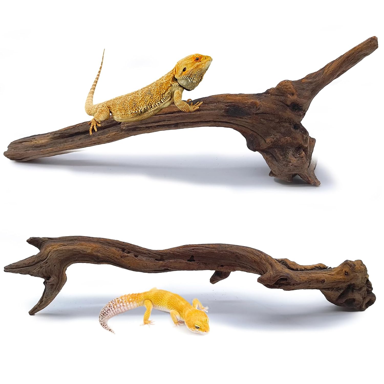 BNOSDM 2PCS Reptile Wood Branches Decor,Lizard Habitat Natural Wood Decoration,Snake Climbing Branch Accessories,Terrarium Tree Trunk Ornament for Bearded Dragon Gecko Frog...