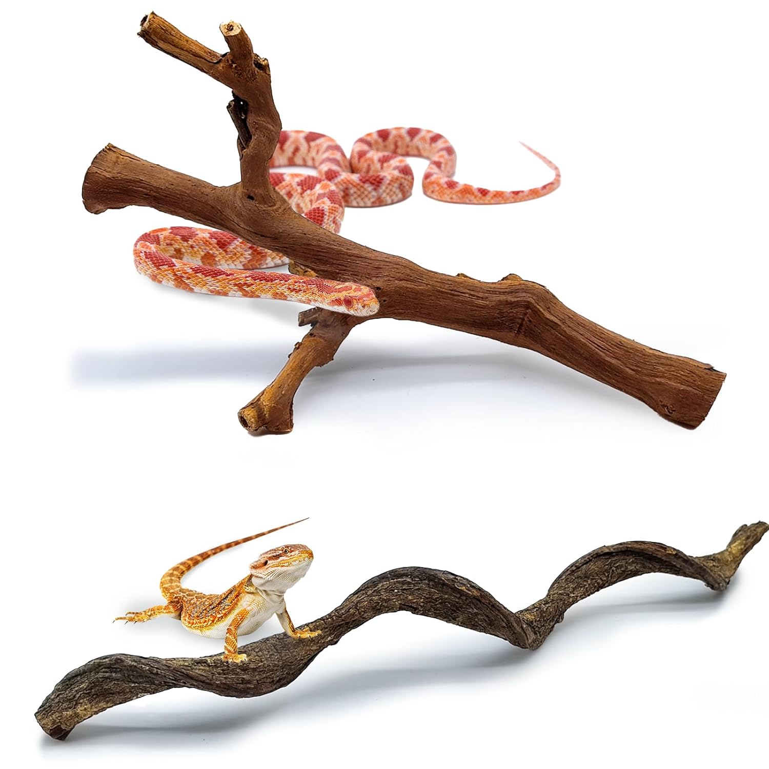 BNOSDM 2PCS Reptile Wood Branches Decor,Lizard Habitat Natural Wood Decoration,Snake Climbing Branch Accessories,Terrarium Tree Trunk Ornament for Bearded Dragon Gecko Frog...