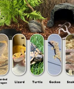 BNOSDM Reptile Hideout,Tortoise Hide Cave,Resin Rock,Bearded Dragon Hideaway,Turtle Basking Platform,Reptiles Habitat Decor Tank Accessories for Lizards Gecko Snakes Chameleon...