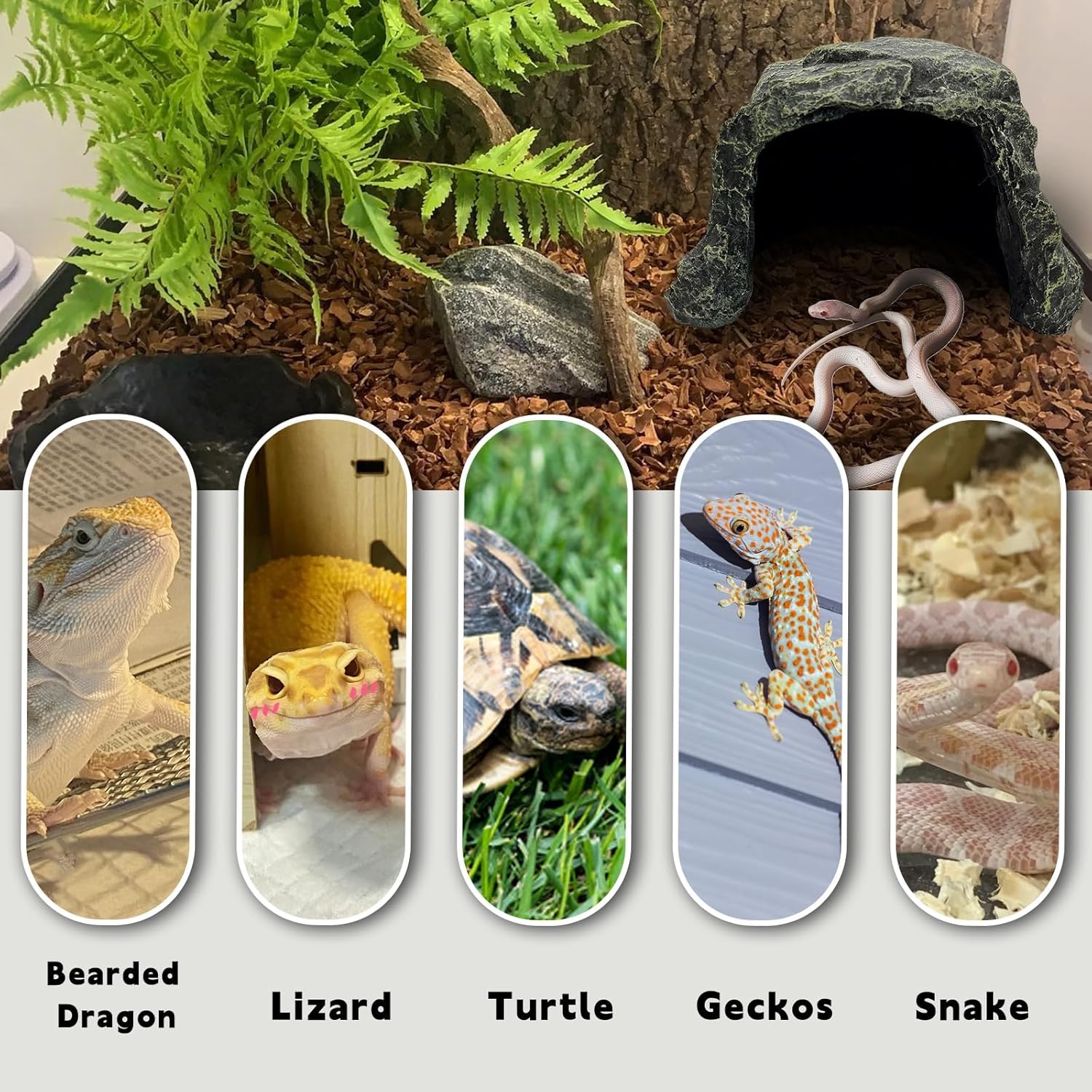 BNOSDM Reptile Hideout,Tortoise Hide Cave,Resin Rock,Bearded Dragon Hideaway,Turtle Basking Platform,Reptiles Habitat Decor Tank Accessories for Lizards Gecko Snakes Chameleon...