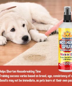 Bodhi Dog Not Here Spray - Trains Pets Where Not To Pee - Dog & Puppy Potty Training Spray to Stop Marking & Urinating Indoors or Outdoors - Safe for Furniture, Carpet & Floors...