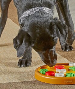 Brightkins Pizza Party! Treat Puzzle - Interactive Dog Toys, Dog Puzzle Toy and Slow Feeder, Enrichment Feeder for Dogs and Cats, Puppy Toys to Keep Them Busy, Cat Enrichment...