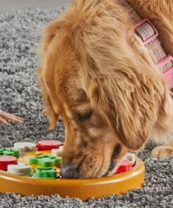 Brightkins Pizza Party! Treat Puzzle - Interactive Dog Toys, Dog Puzzle Toy and Slow Feeder, Enrichment Feeder for Dogs and Cats, Puppy Toys to Keep Them Busy, Cat Enrichment...