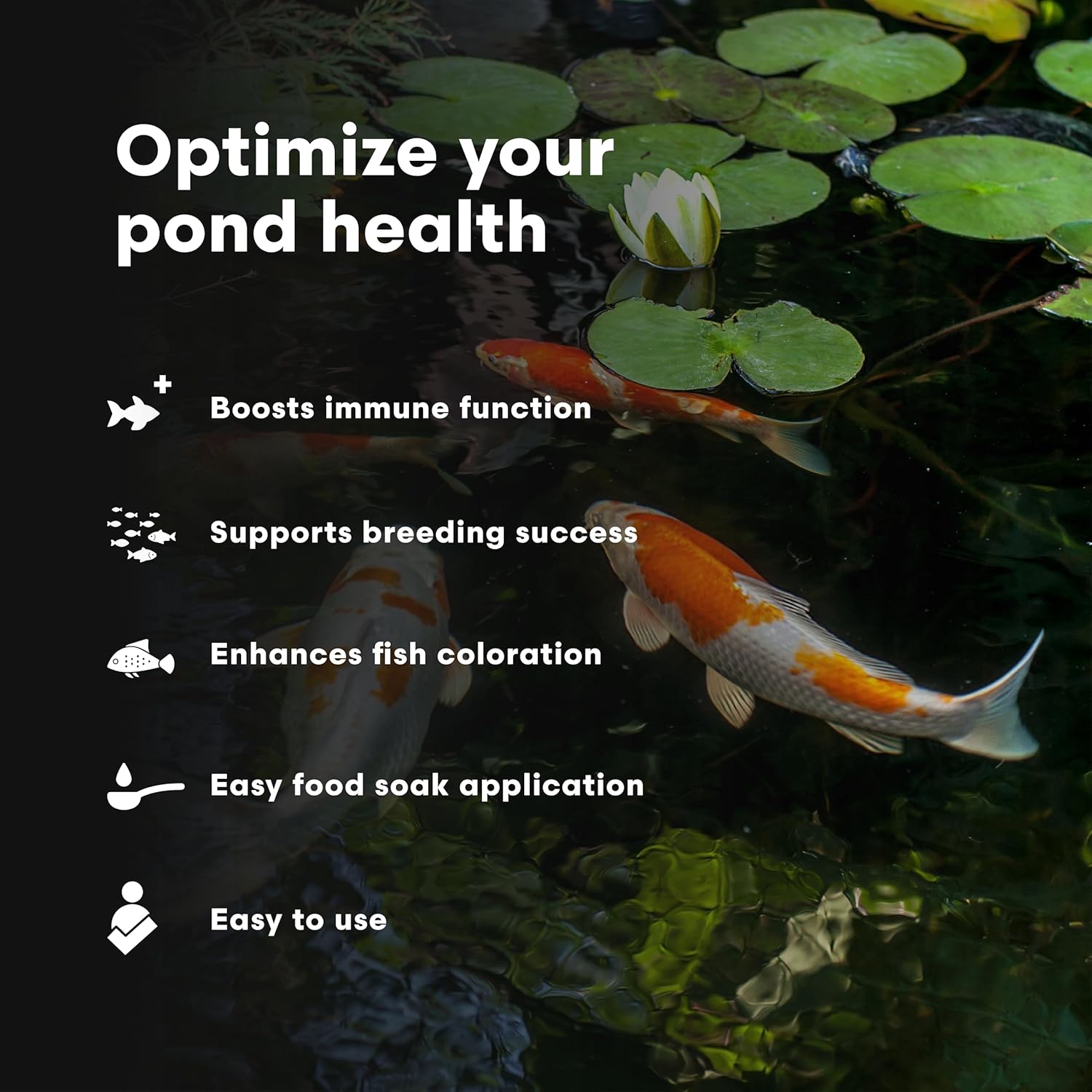 Brightwell Aquatics FlorinVita – Comprehensive Vitamin Supplement for Pond Fish & Snails – Supports Health, Color, & Spawning Readiness, 2L