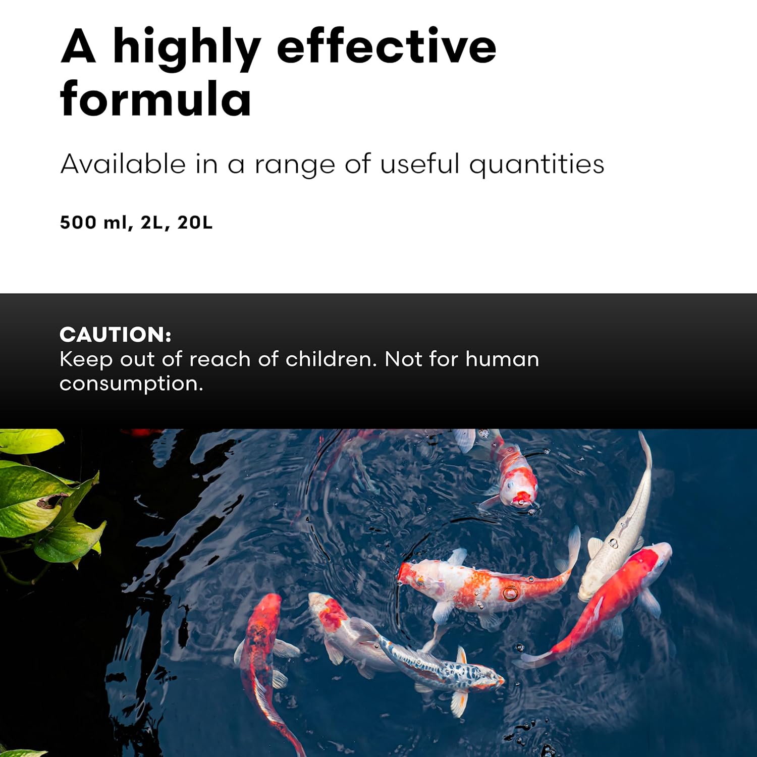 Brightwell Aquatics FlorinVita – Comprehensive Vitamin Supplement for Pond Fish & Snails – Supports Health, Color, & Spawning Readiness, 2L