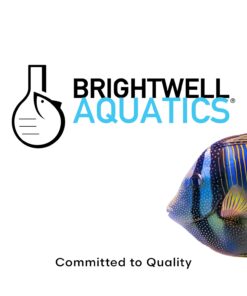 Brightwell Aquatics FlorinVita – Comprehensive Vitamin Supplement for Pond Fish & Snails – Supports Health, Color, & Spawning Readiness, 2L